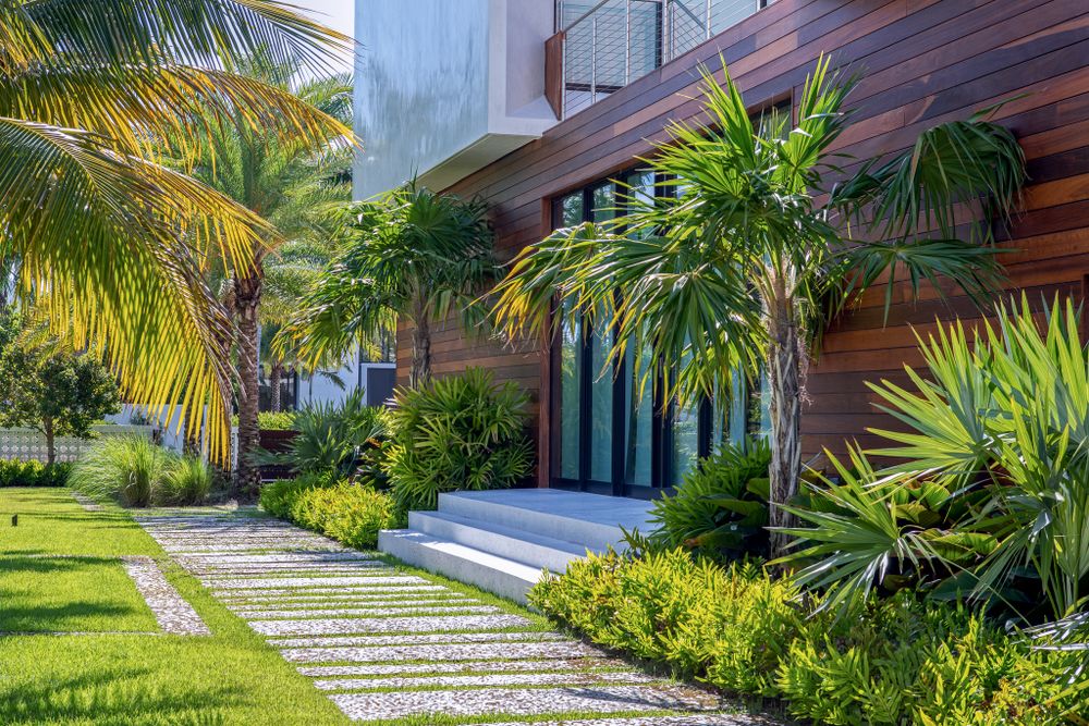 Modern home entrance with stepping stones and tropical landscaping featuring palm trees.