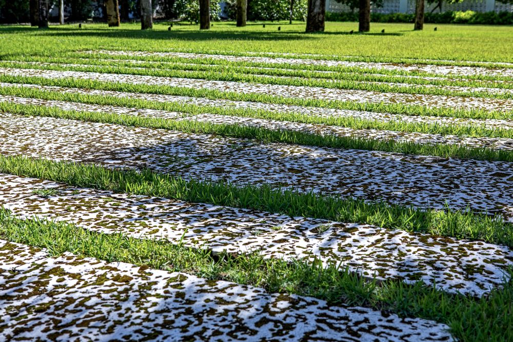 Detailed view of a modern geometric stone pathway pattern with grass strips.