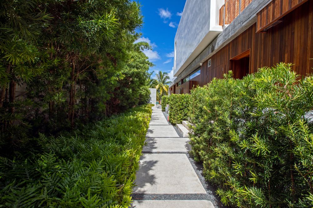 Landscaped garden pathway with concrete pavers bordered by lush tropical plants.