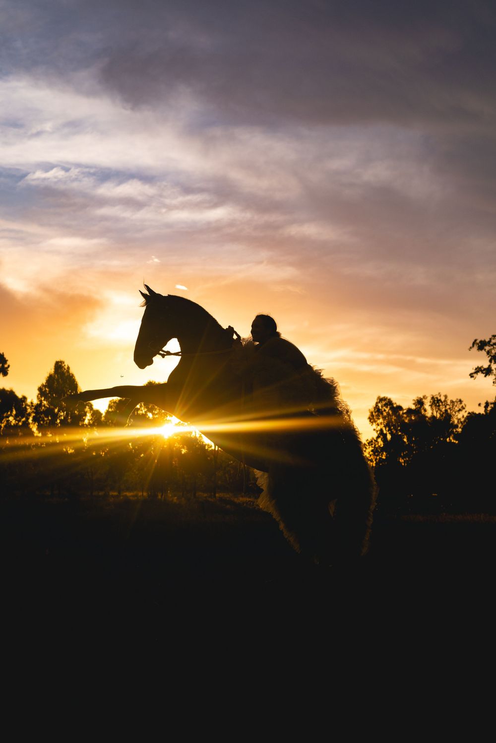 Silhouette of a horse and rider against a dramatic sunset sky with lens flare.