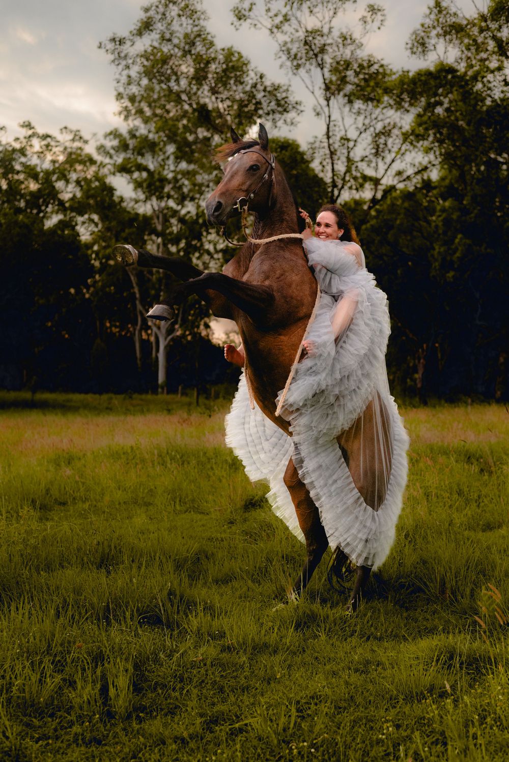 A horse rearing up dramatically with someone in a white flowing dress in a rural field at dusk.