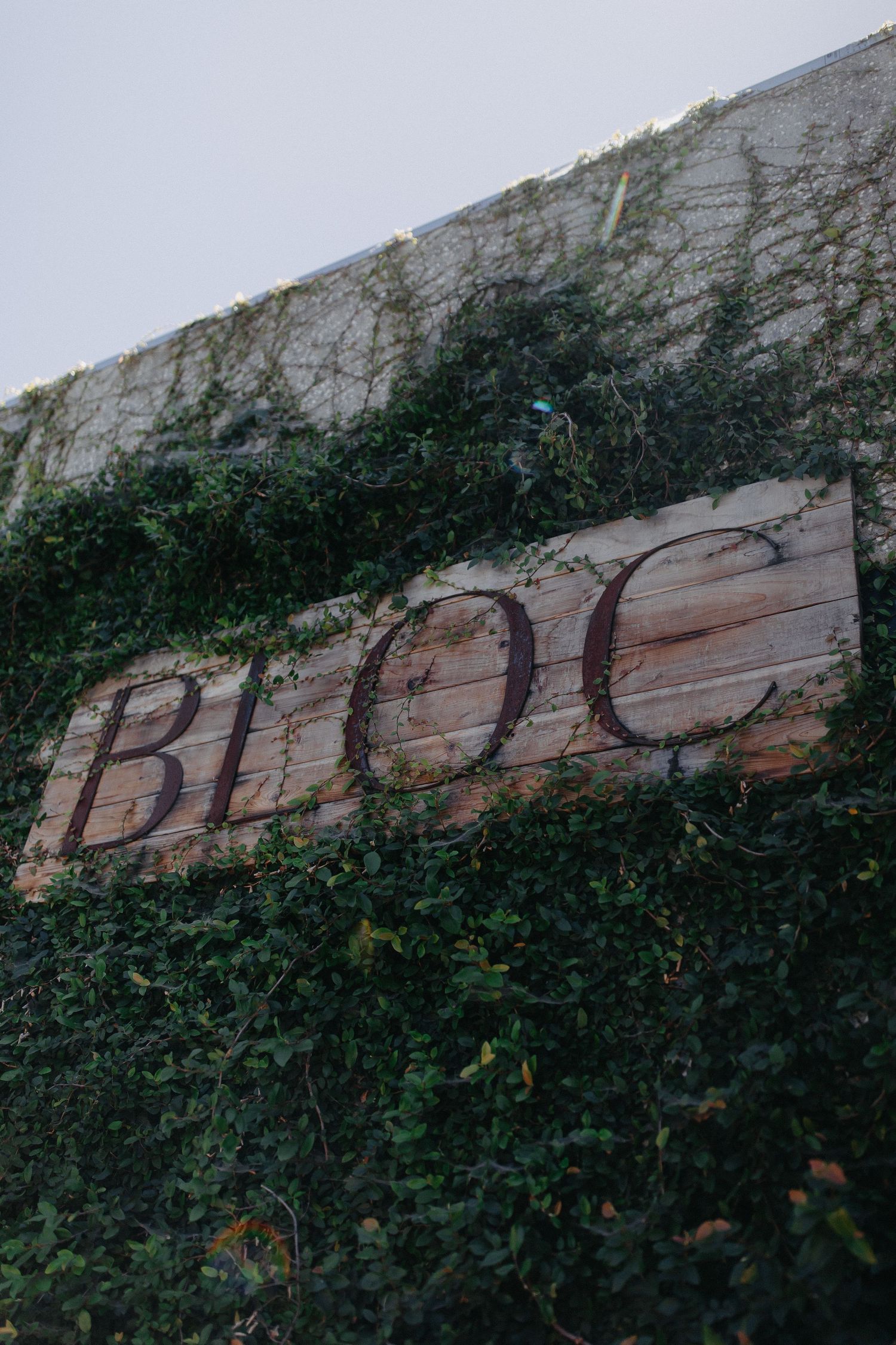 Wooden 'BLOC' sign covered in ivy on weathered white wall.