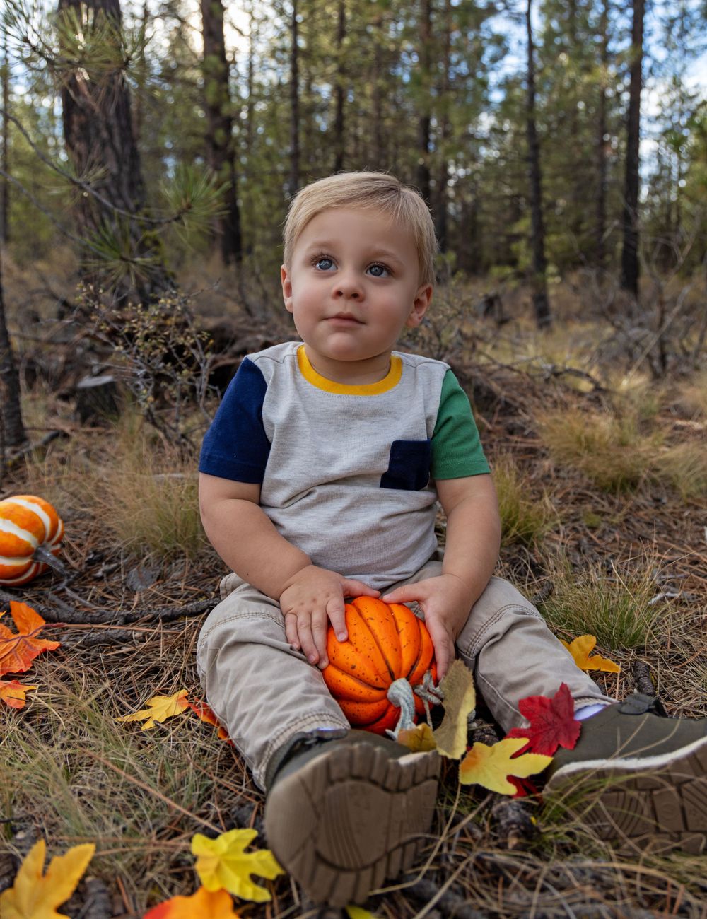 A toddler sits among fall leaves holding small orange pumpkins in a forest setting.
