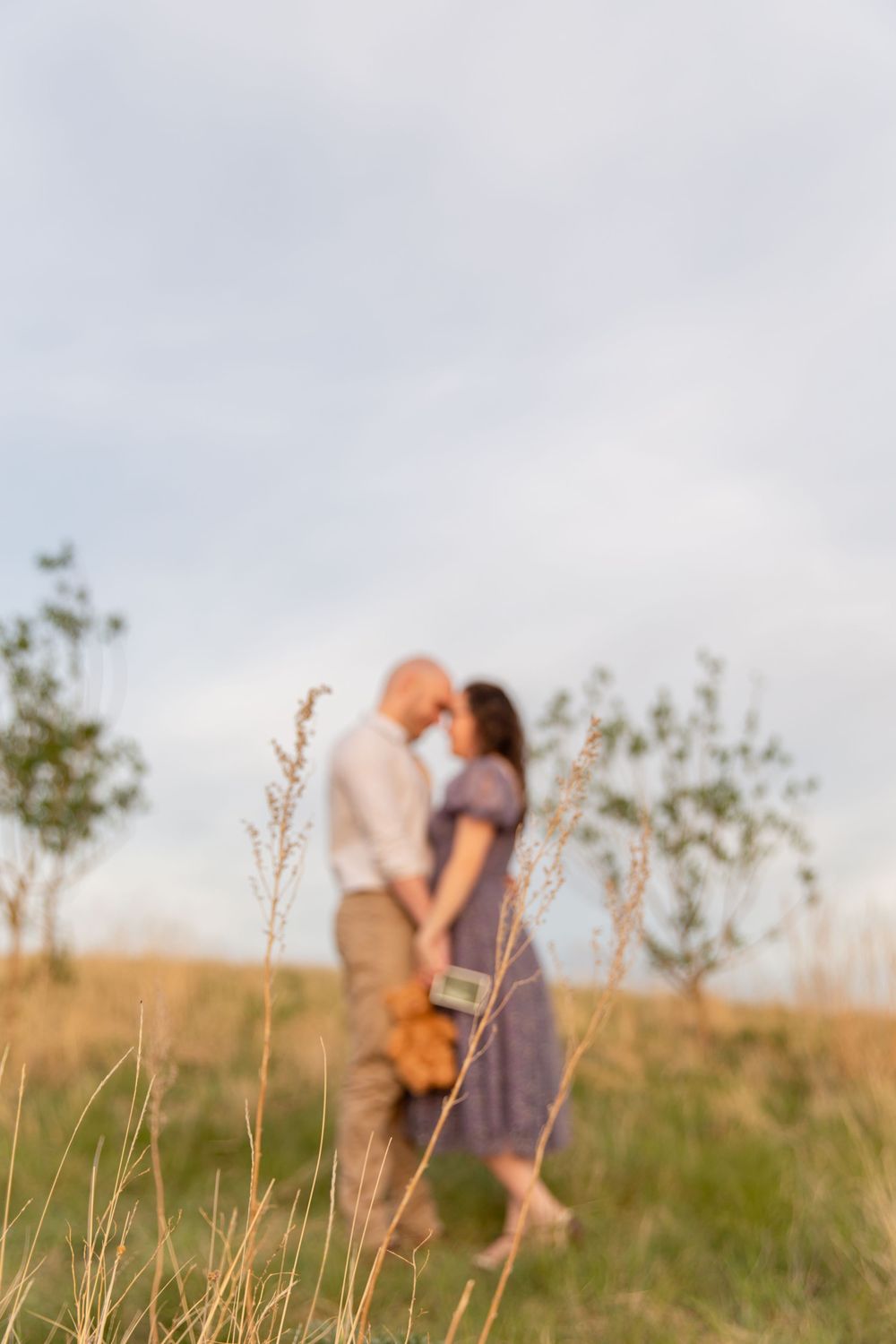 southern-alberta-pregnancy-announcement-maternity-photography