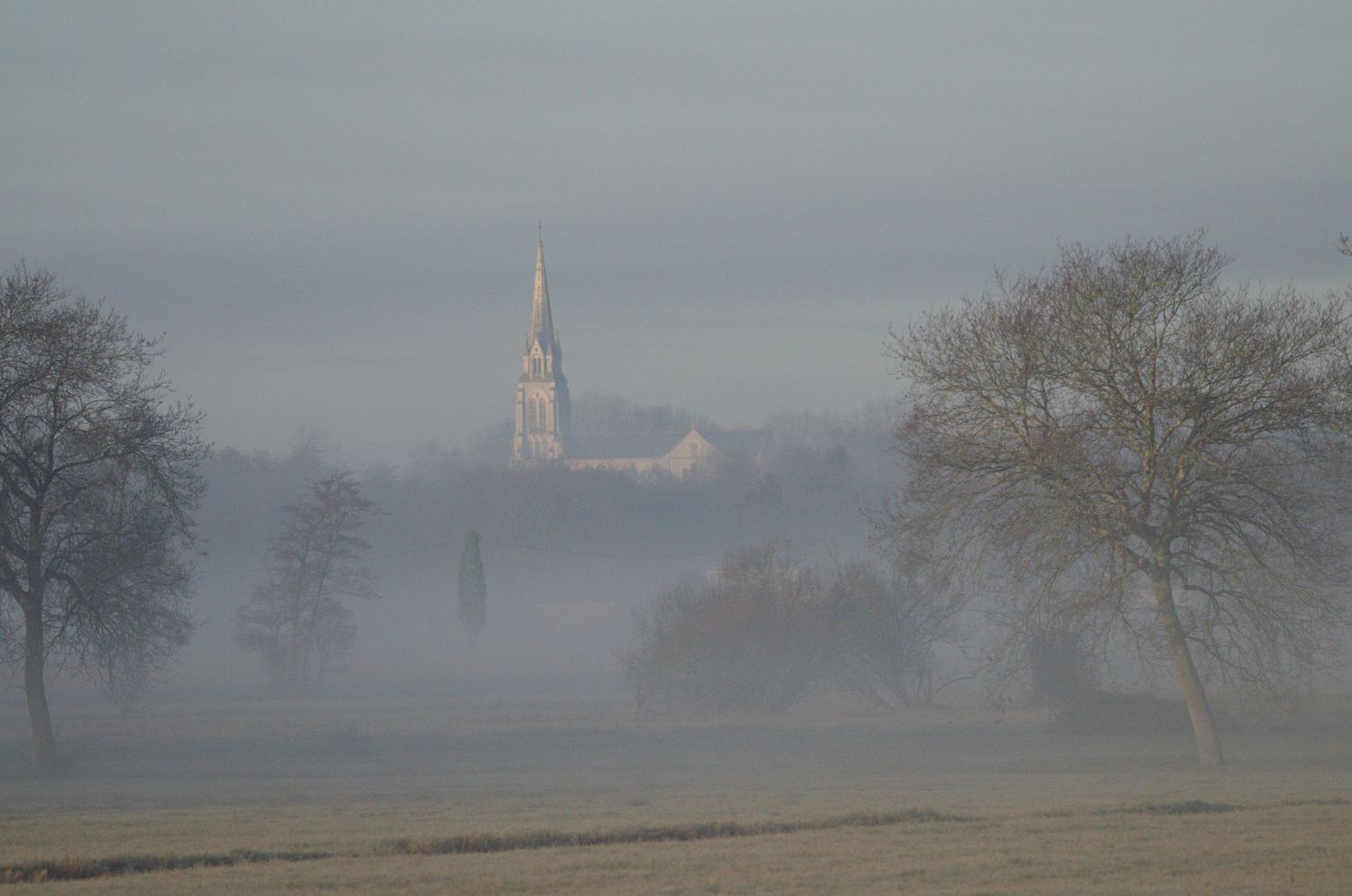 Paysage Landais