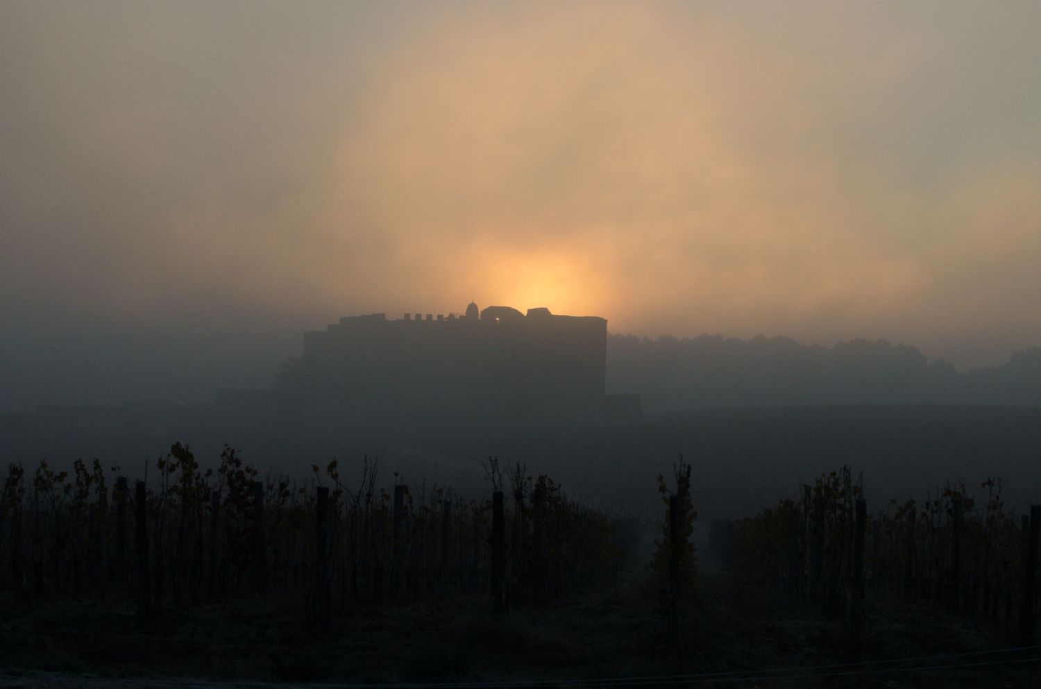 Château de Fargues au levé de soleil