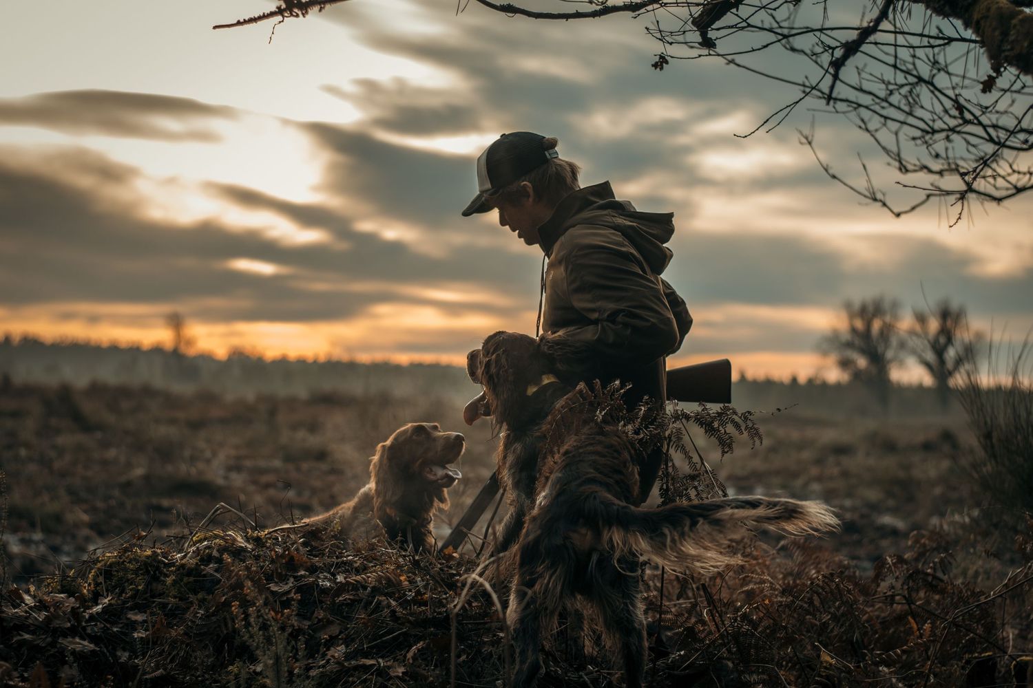 Photos de chasse à la bécasse au levé du soleil