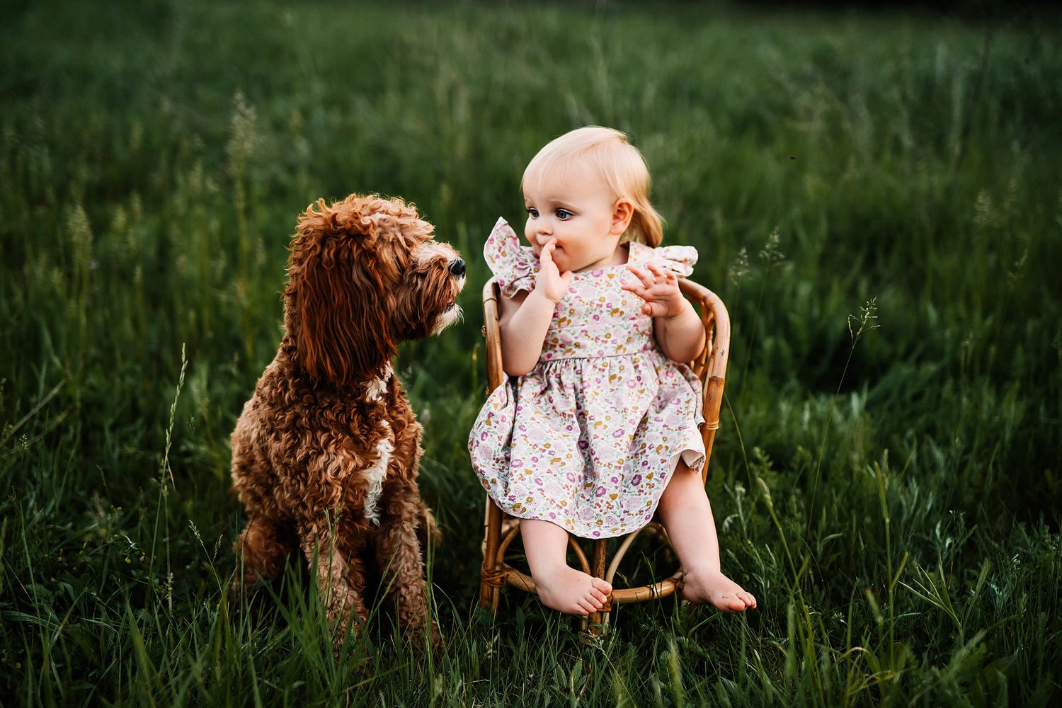 Hartland Michigan Family Photographer