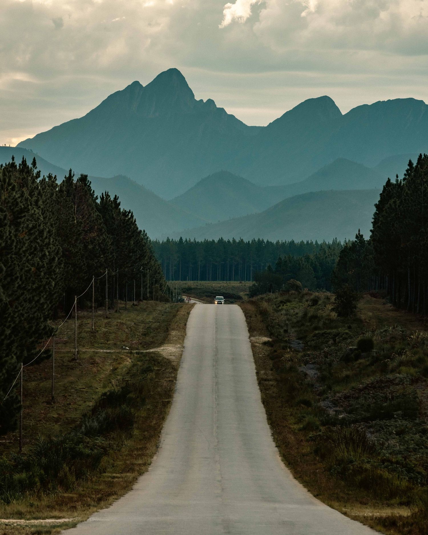 Long empty road leading towards majestic mountain peaks through pine forest landscape.