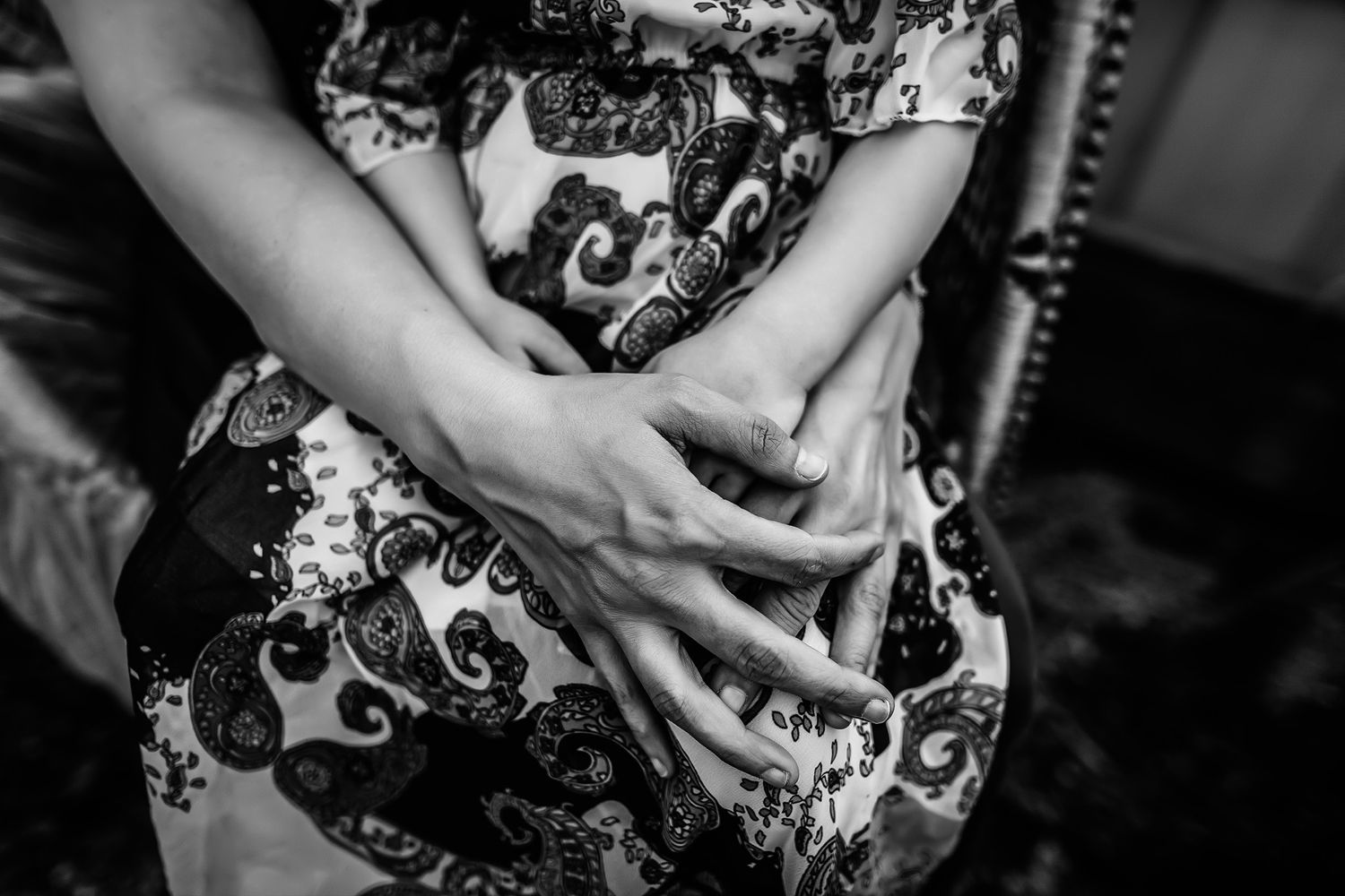 Fenton Michigan Family Photographer