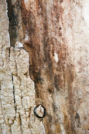 A silver wedding ring hangs on a weathered, rustic wooden surface with peeling white paint and brown stains.