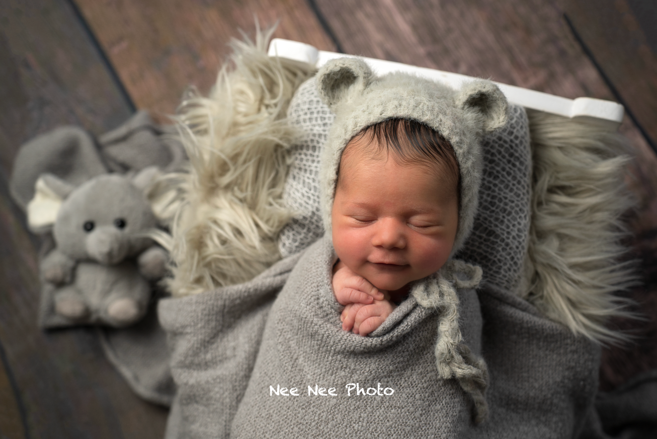 Newborn baby sleeping in gray knit bear bonnet wrapped in gray blanket beside elephant stuffed animal on fur backdrop. Embracing Life’s Beau