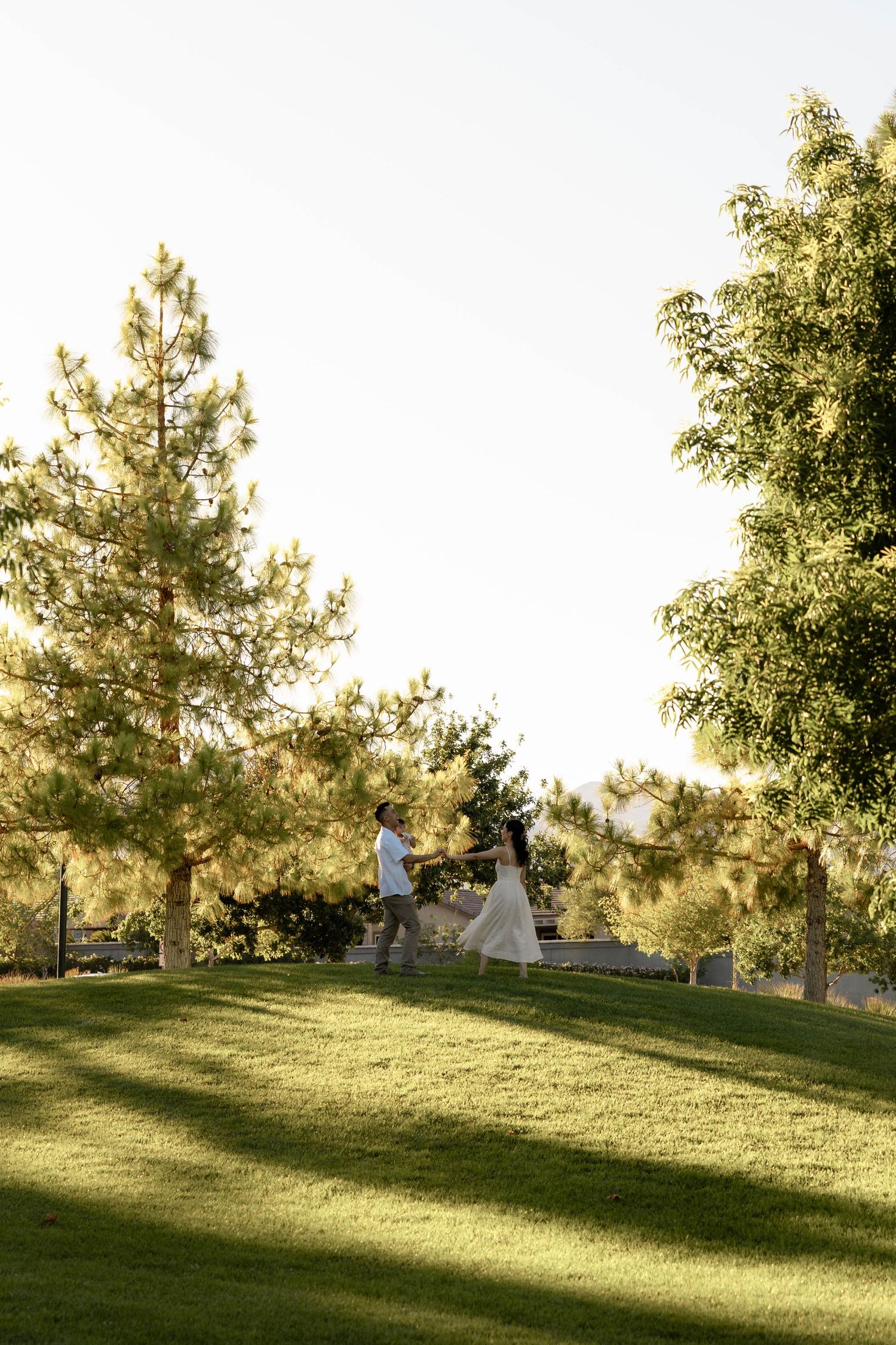Couple holding hands walking on lush green grass at golden hour with tall pine trees in background.