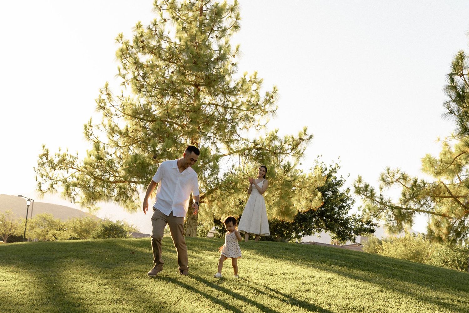 Family in white outfits playing on green lawn with pine trees during sunny golden hour outdoors.