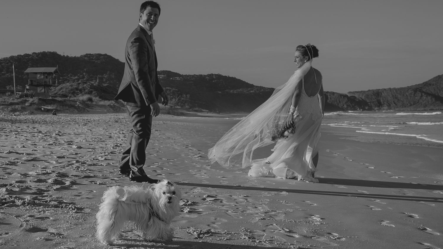 A couple walks along a beach with their white dog, waves crashing in the background.
