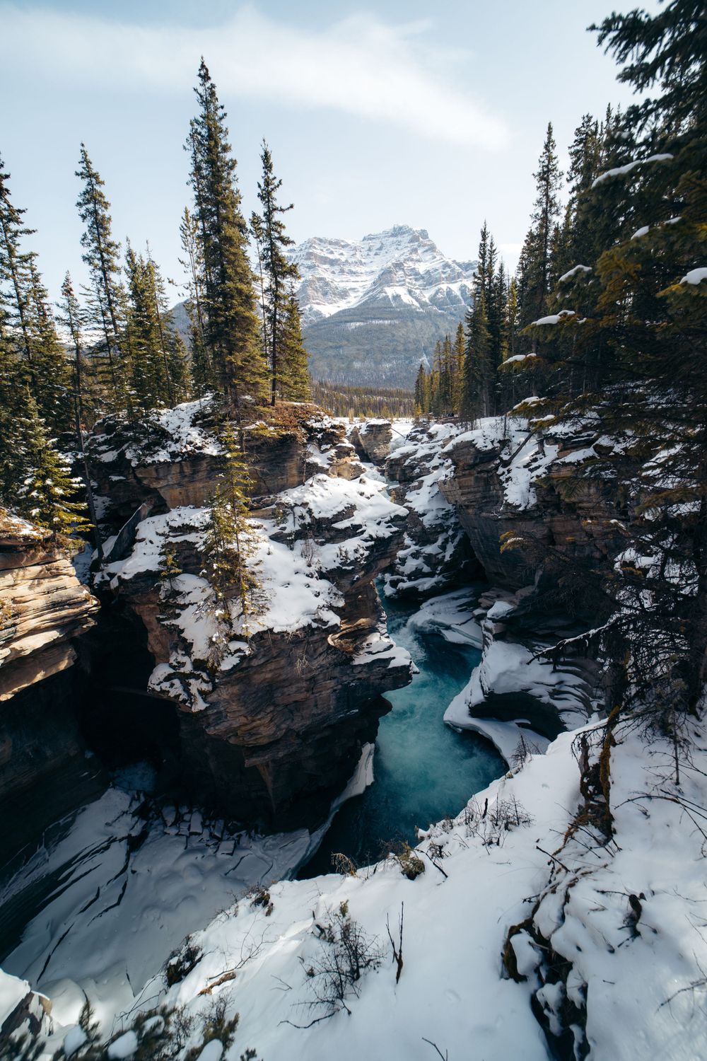 Turquoise water flows through a snowy canyon with evergreen trees and mountain peaks in the background.