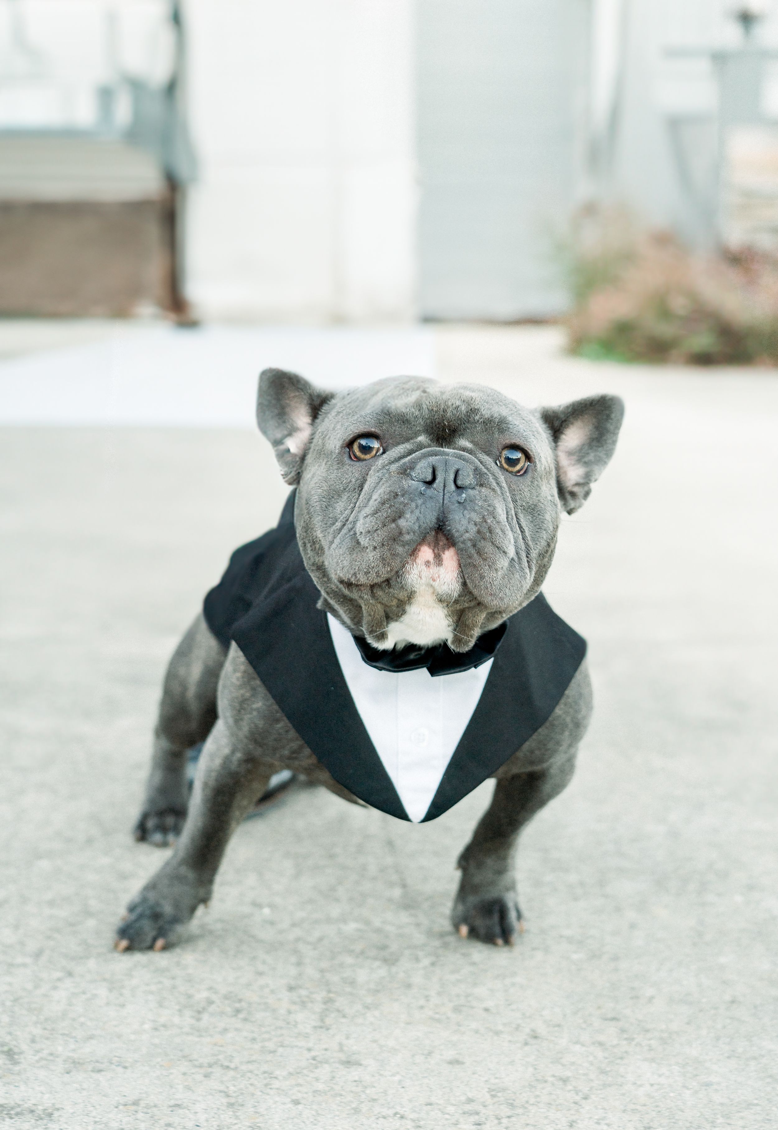 Private Estate Prunedale Wedding