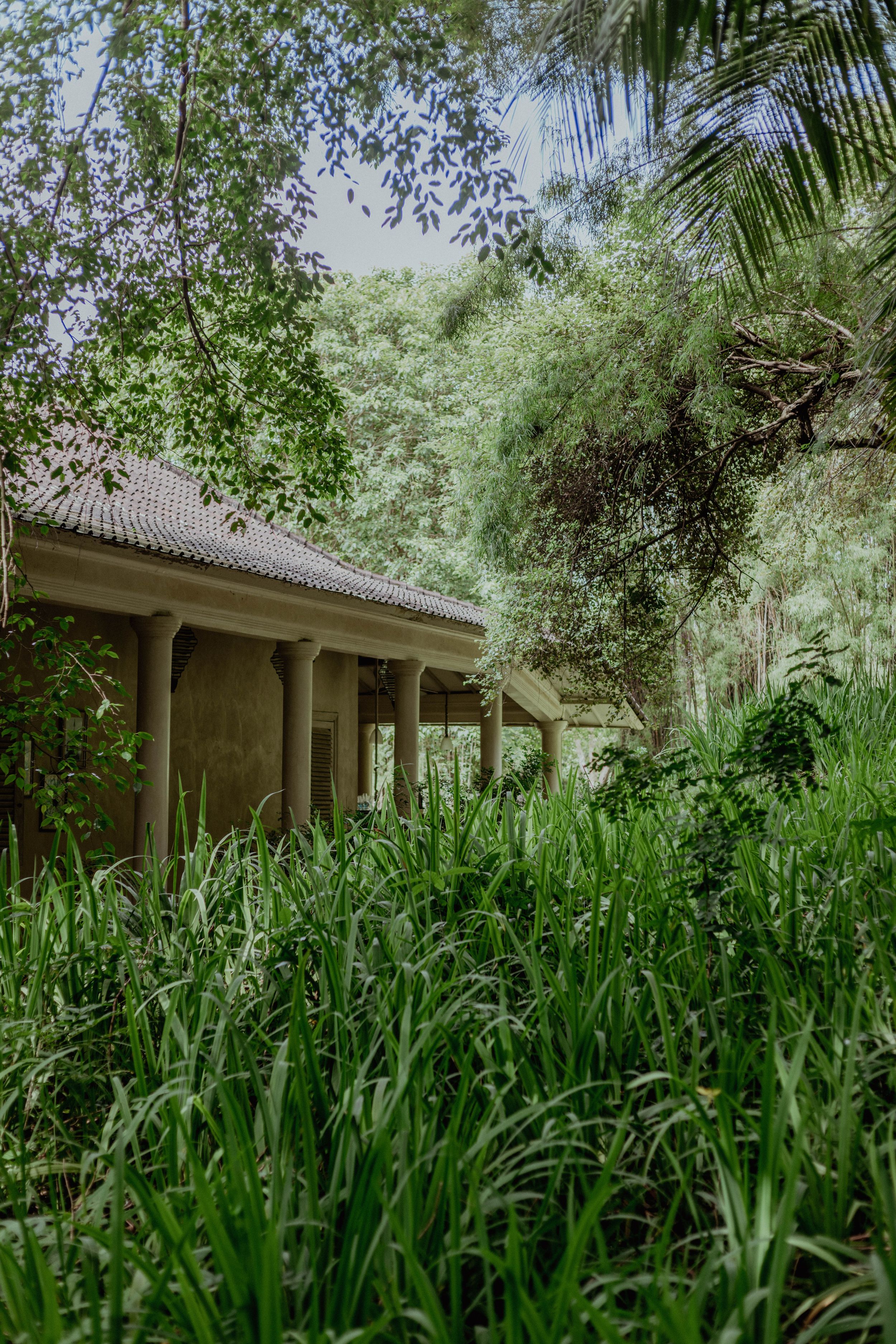 Colonial-style building with covered porch surrounded by tall grass and tropical vegetation.