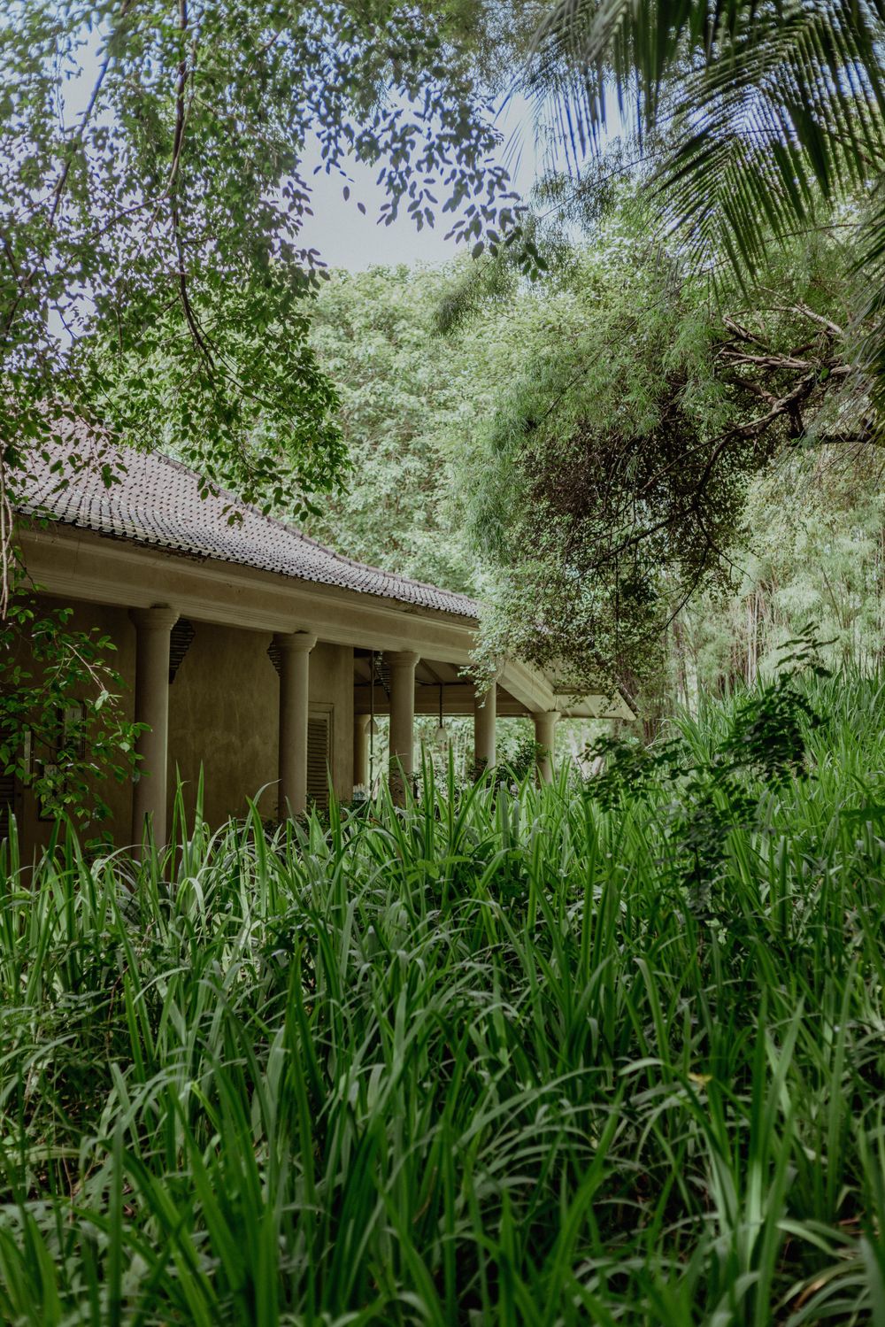 Colonial-style building with covered porch surrounded by tall grass and tropical vegetation.