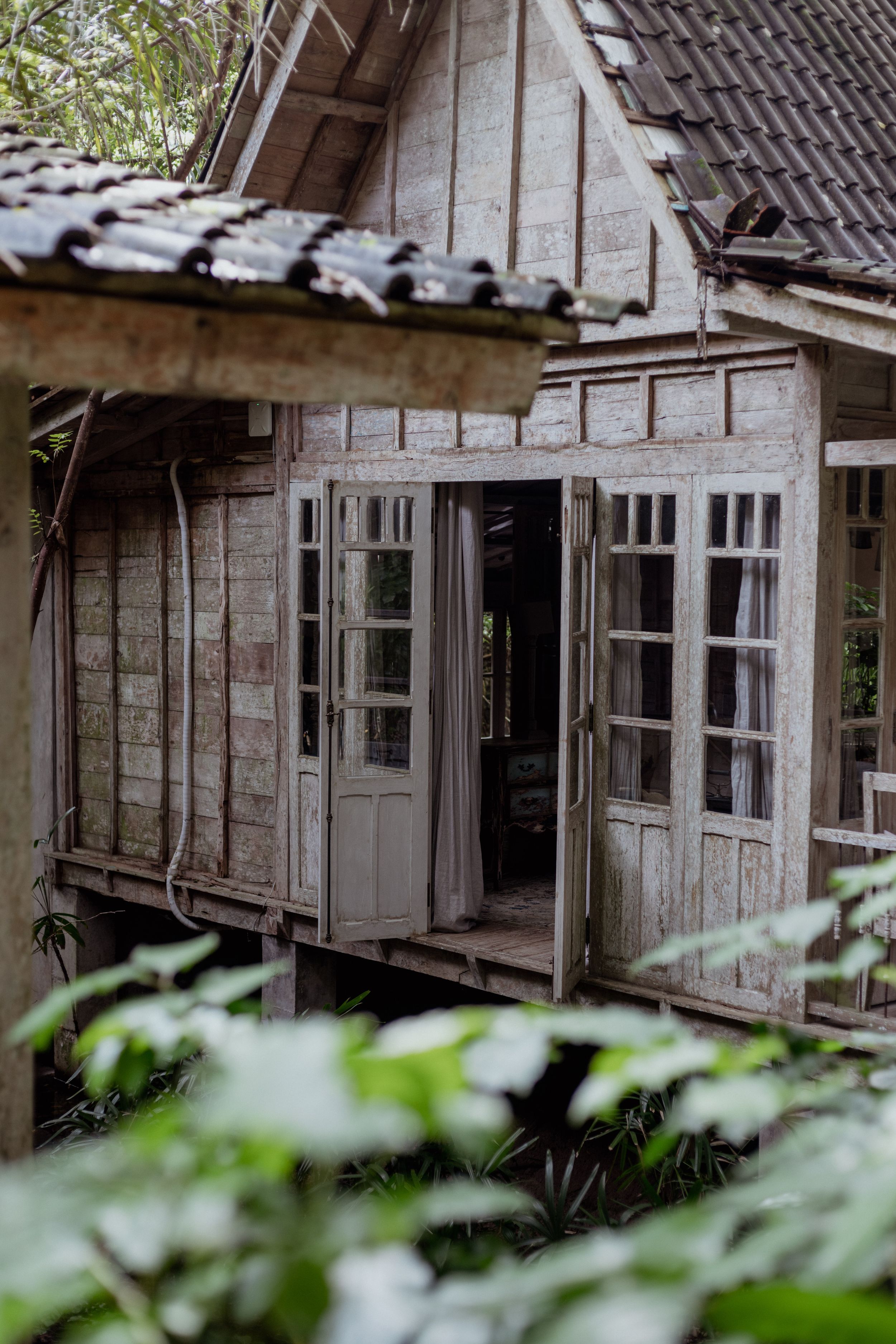 Weathered wooden cottage with French doors and windows framed by tropical foliage.