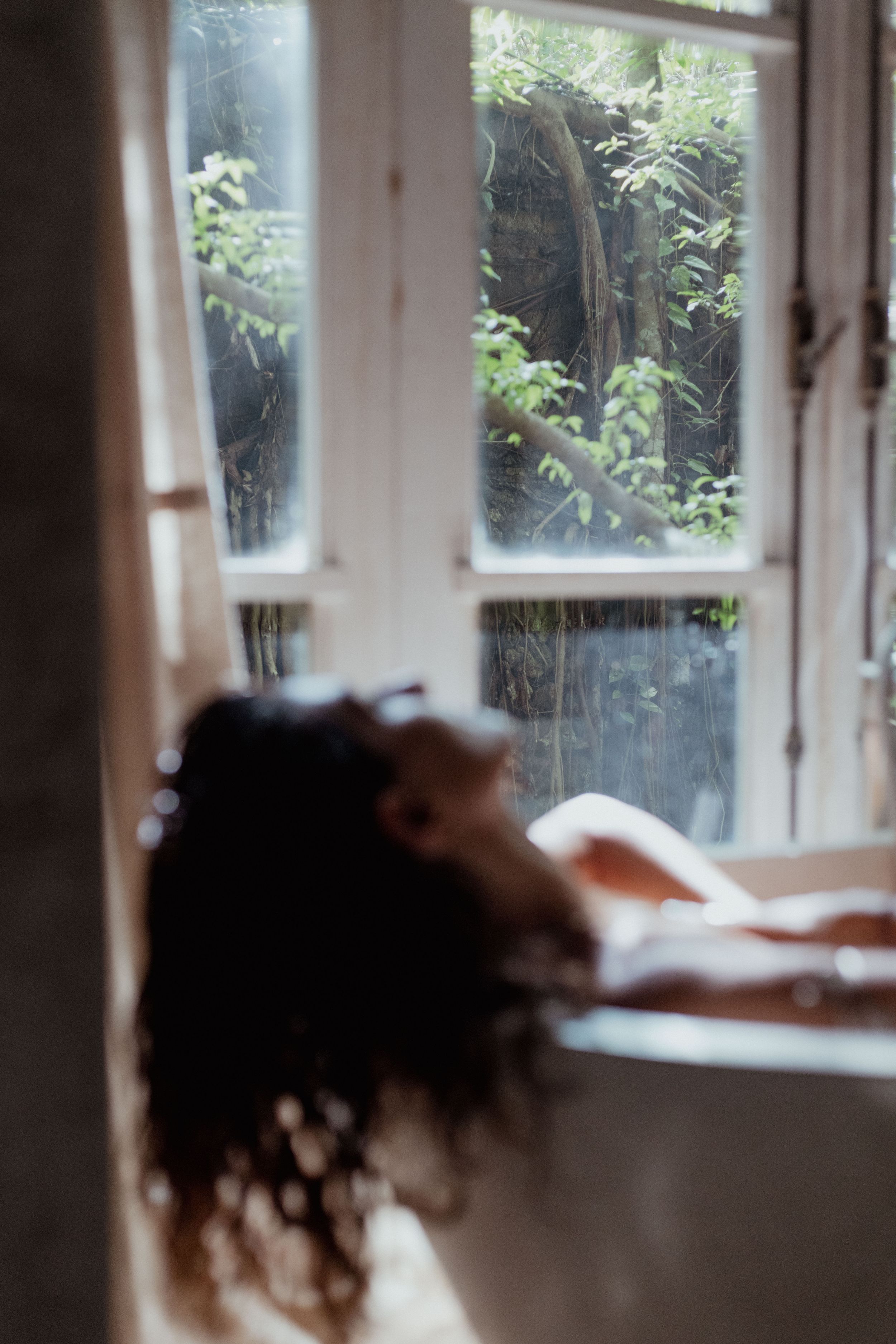 Dreamy window view with soft natural light filtering through foliage.