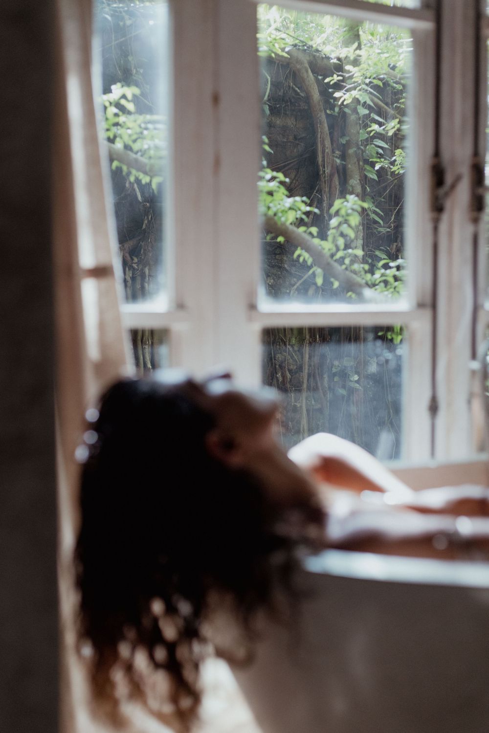 Dreamy window view with soft natural light filtering through foliage.