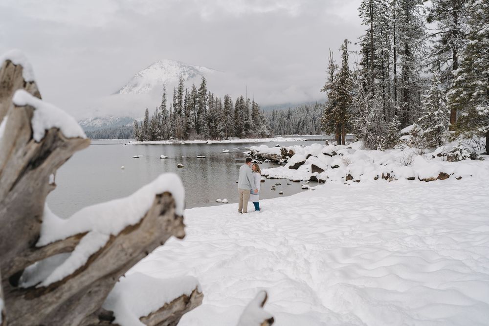 Snow covered landscape with driftwood and evergreen trees along a frozen lake in winter.