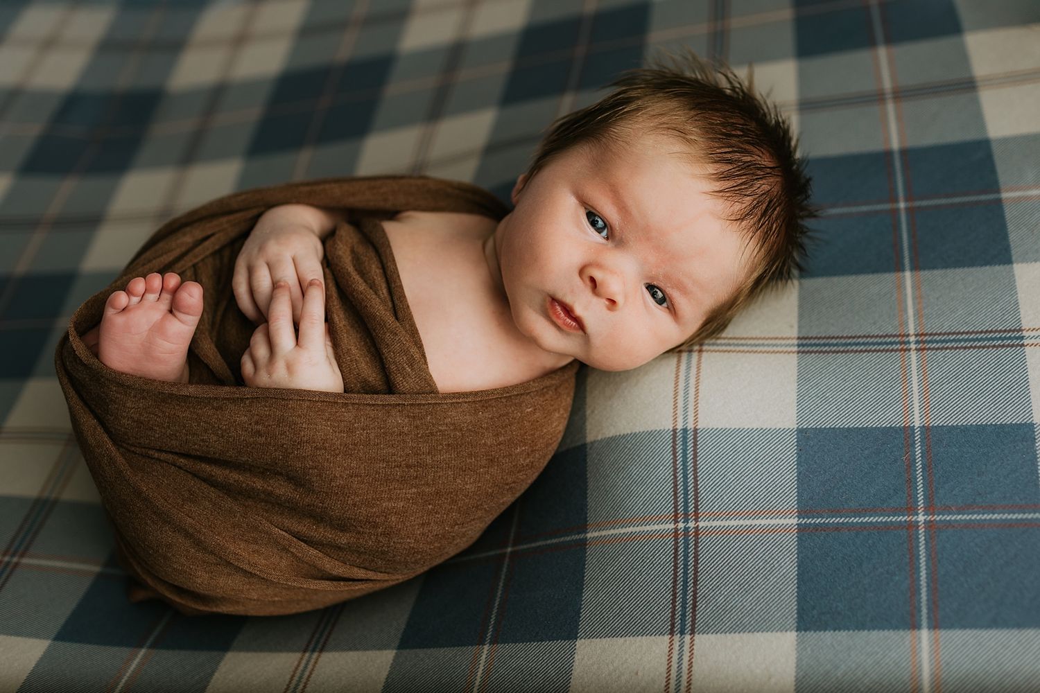 Newborn baby wrapped in brown swaddle blanket lying on plaid fabric during professional newborn photography session.