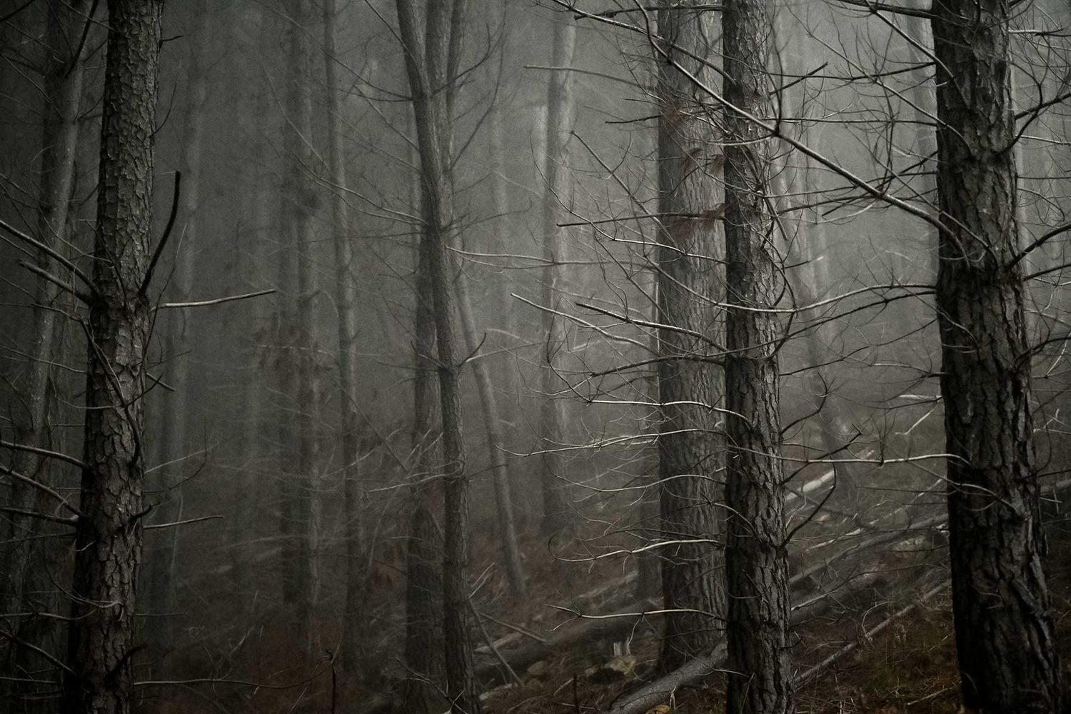 Landscape Photography by photographer Reece Harrington, printed on Canson Rag Photographique at JRP Studio Fine Art Printing.