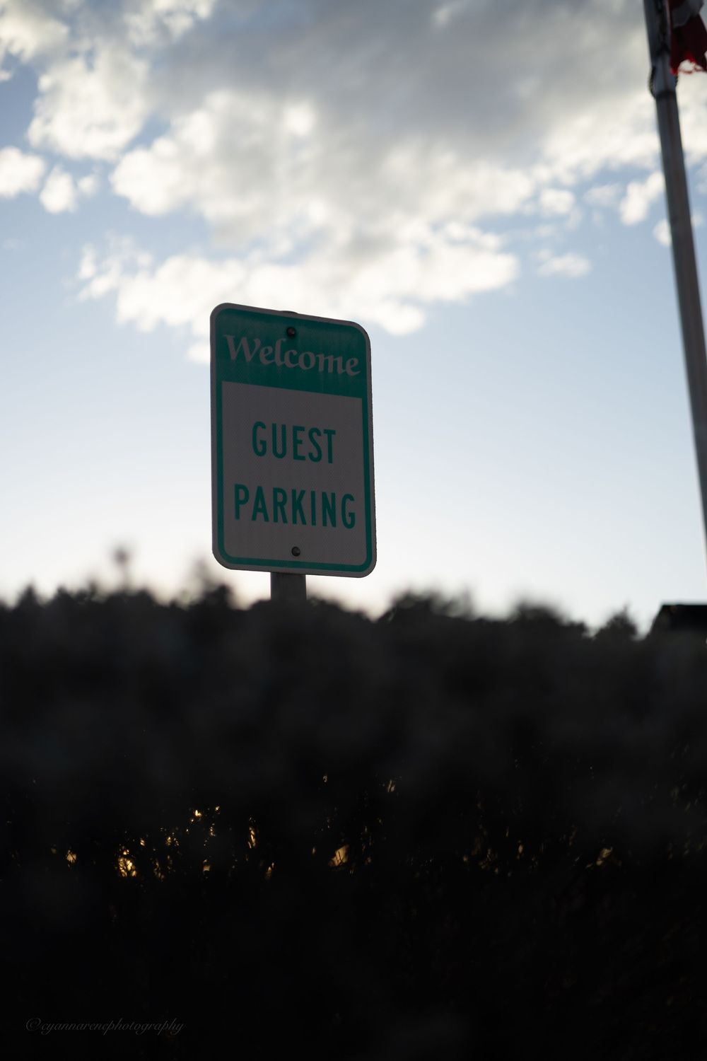 Green welcome guest parking sign against a cloudy sky with silhouetted trees in the background.
