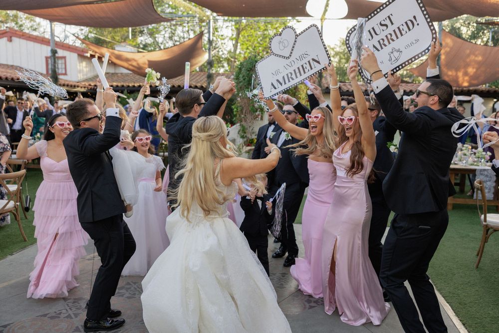 Bride and wedding party celebrating outdoors holding Just Married signs, bridesmaids in pink dresses at garden wedding.
