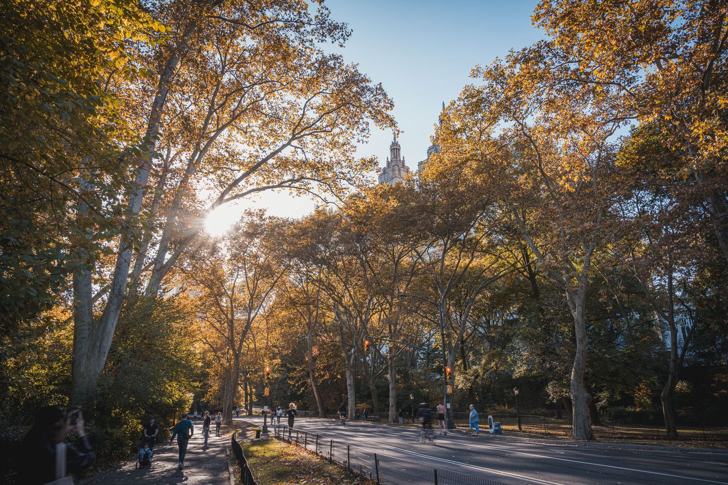 Vista autunnale di Central Park con luce dorata