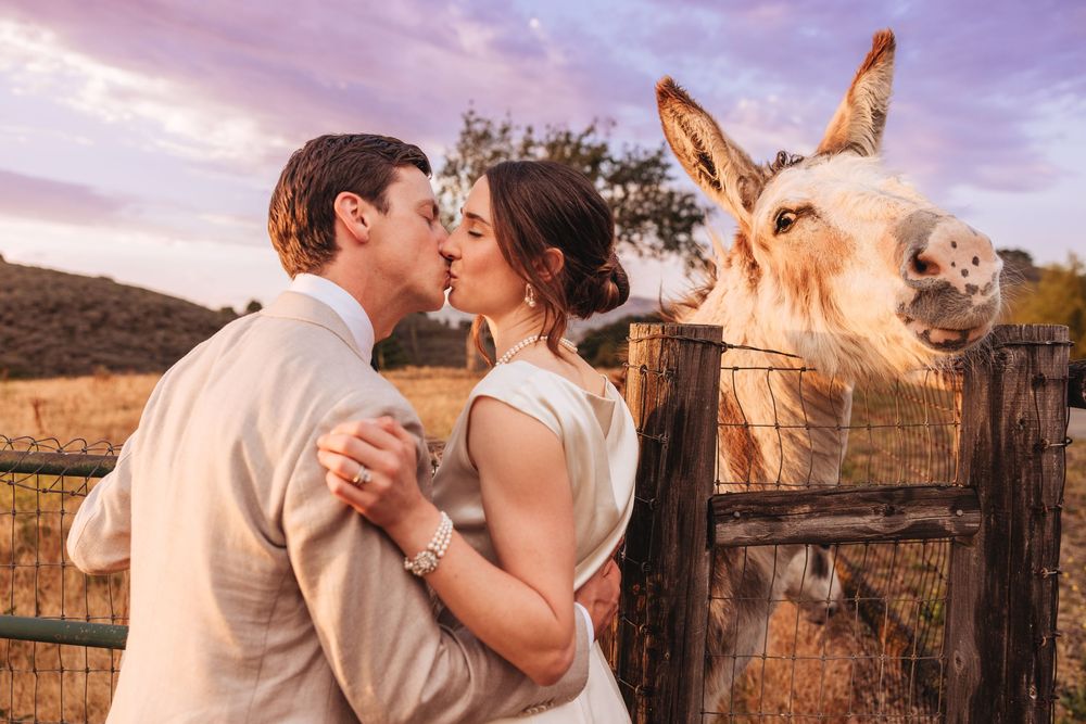A newlywed couple shares a kiss at a farm wedding while a curious donkey photobombs behind a wooden fence at sunset.
