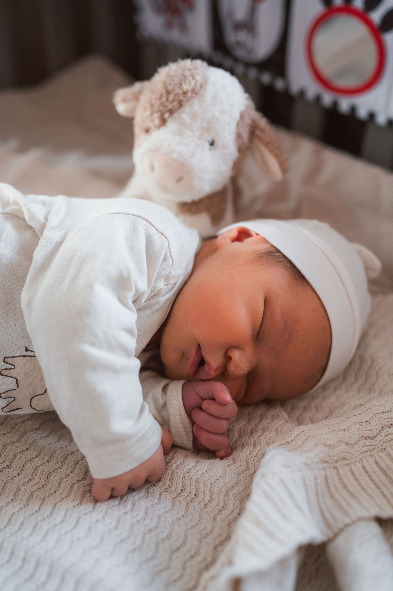 Newbornshoot Elles Yanna Photography