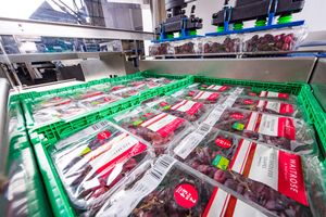 Packaged fresh produce items in green plastic crates on a conveyor belt in a food processing facility.