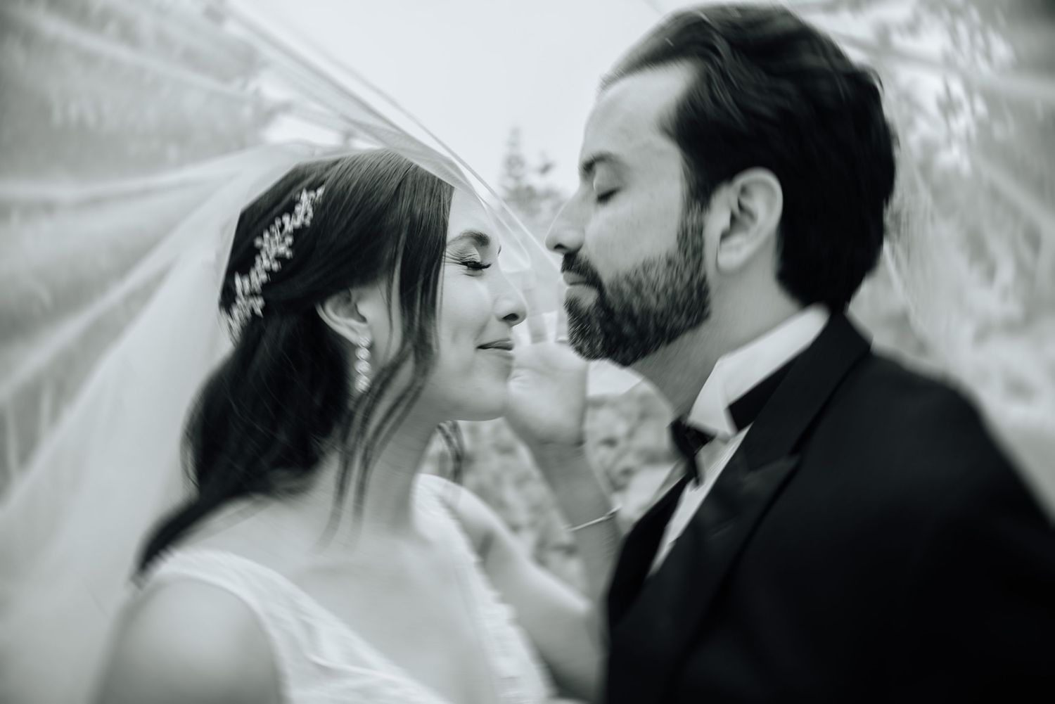 Pareja de novios con velo