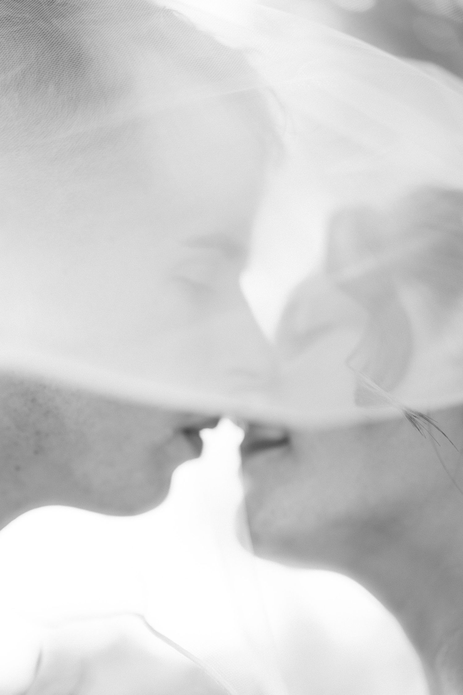 Black and white photo of a couple sharing a romantic kiss under a flowing bridal veil.