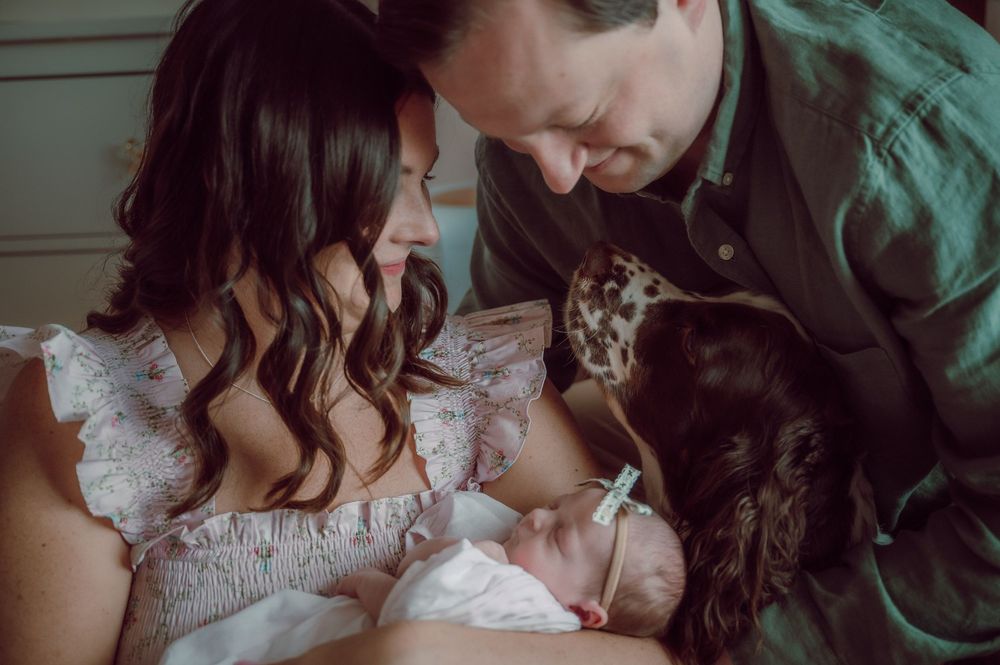 New parents and their dog lovingly gaze at their newborn baby during an intimate family portrait session.