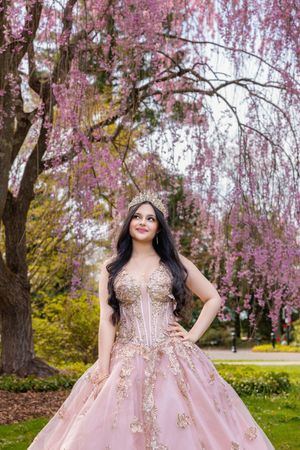 Young woman in pink quinceañera gown with gold crown poses before blooming cherry blossom trees in a park.