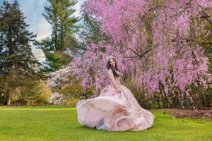 Woman in flowing pink gown twirling under blooming cherry blossom trees on lush green lawn in spring.