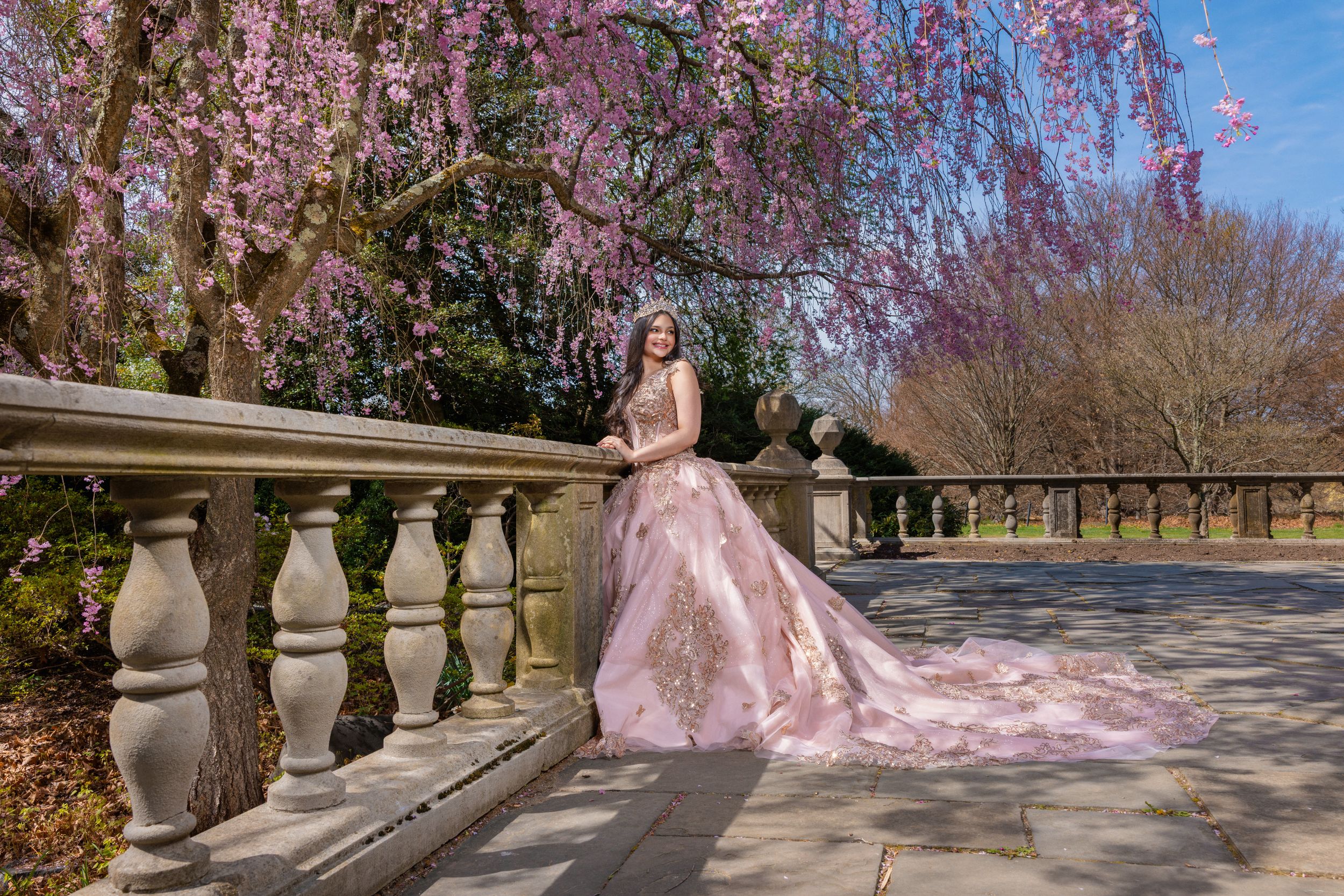 Young woman in pink ball gown poses by stone balustrade under blooming cherry blossom tree in garden.
