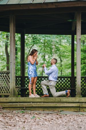 Meadowlark Botanical Gardens Engagement Photography in Vienna, Virginia