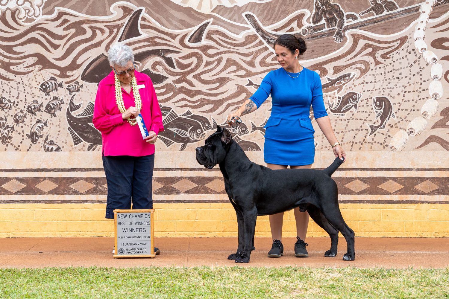 Handler kneeling beside a golden Cocker Spaniel at a dog show, with a Vizsla visible nearby at an indoor kennel club event.