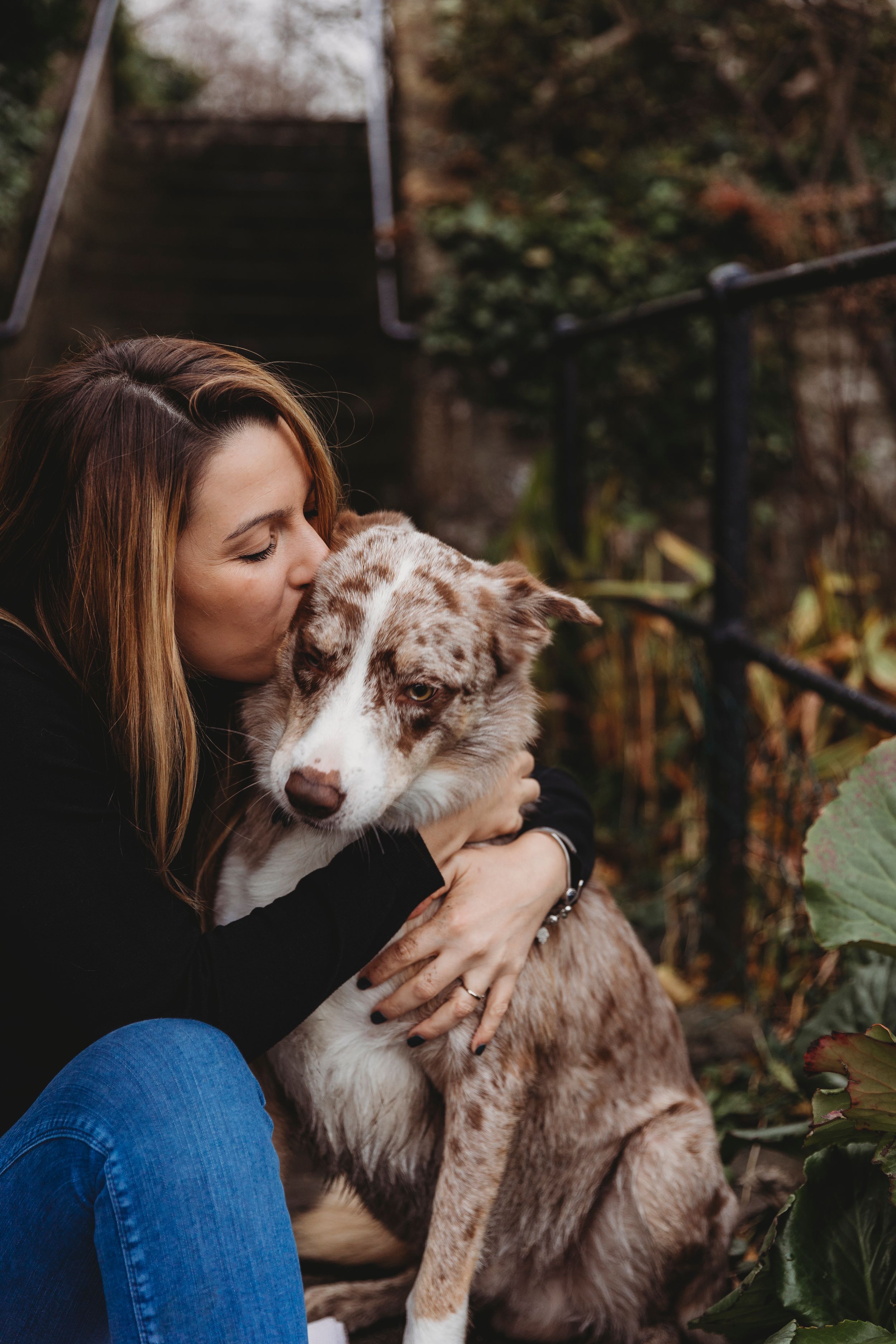 Person cuddling with a spotted Australian Shepherd dog on outdoor stairs.