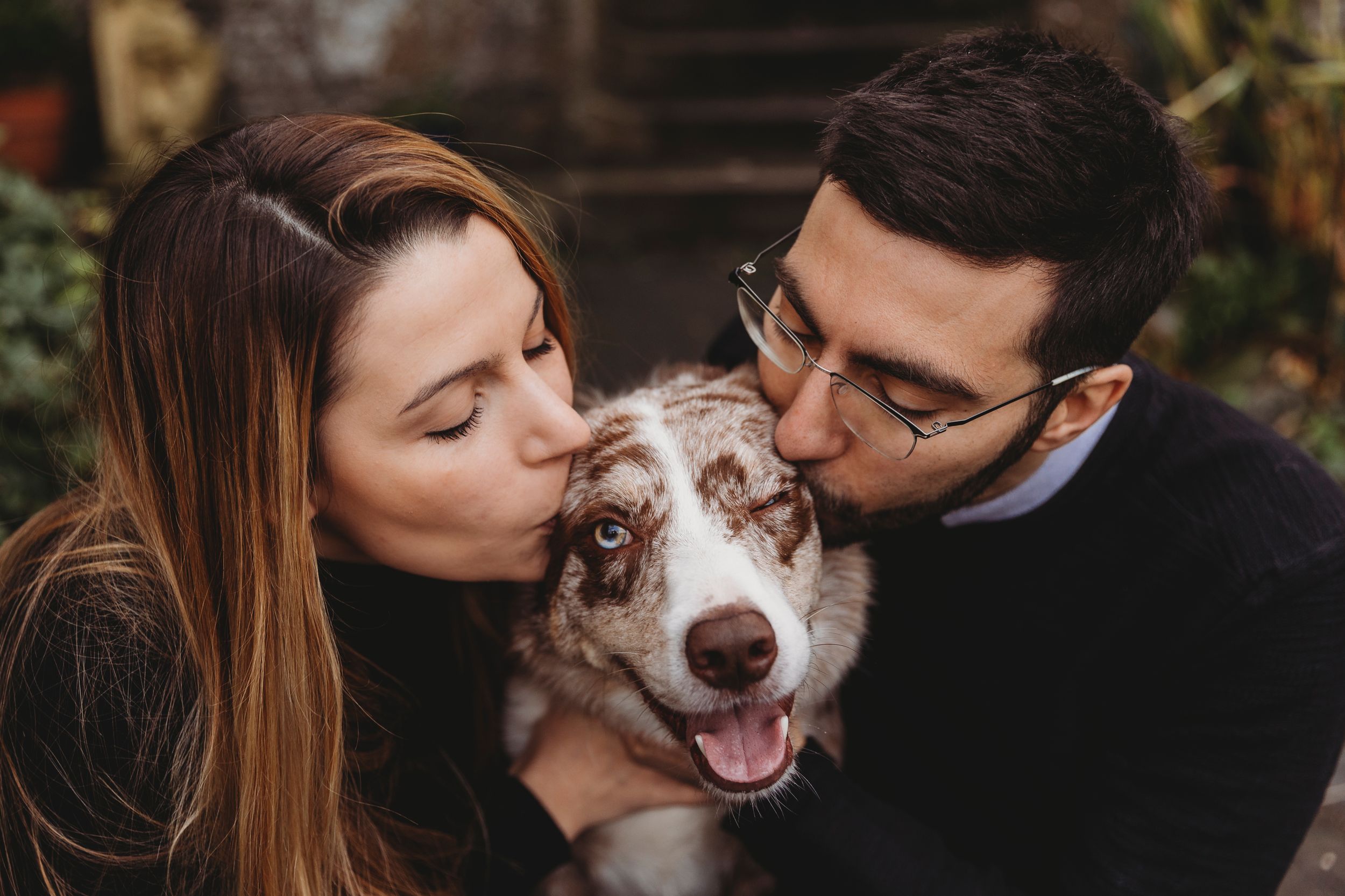 Australian Shepherd dog gets kisses and affection from owners on steps.