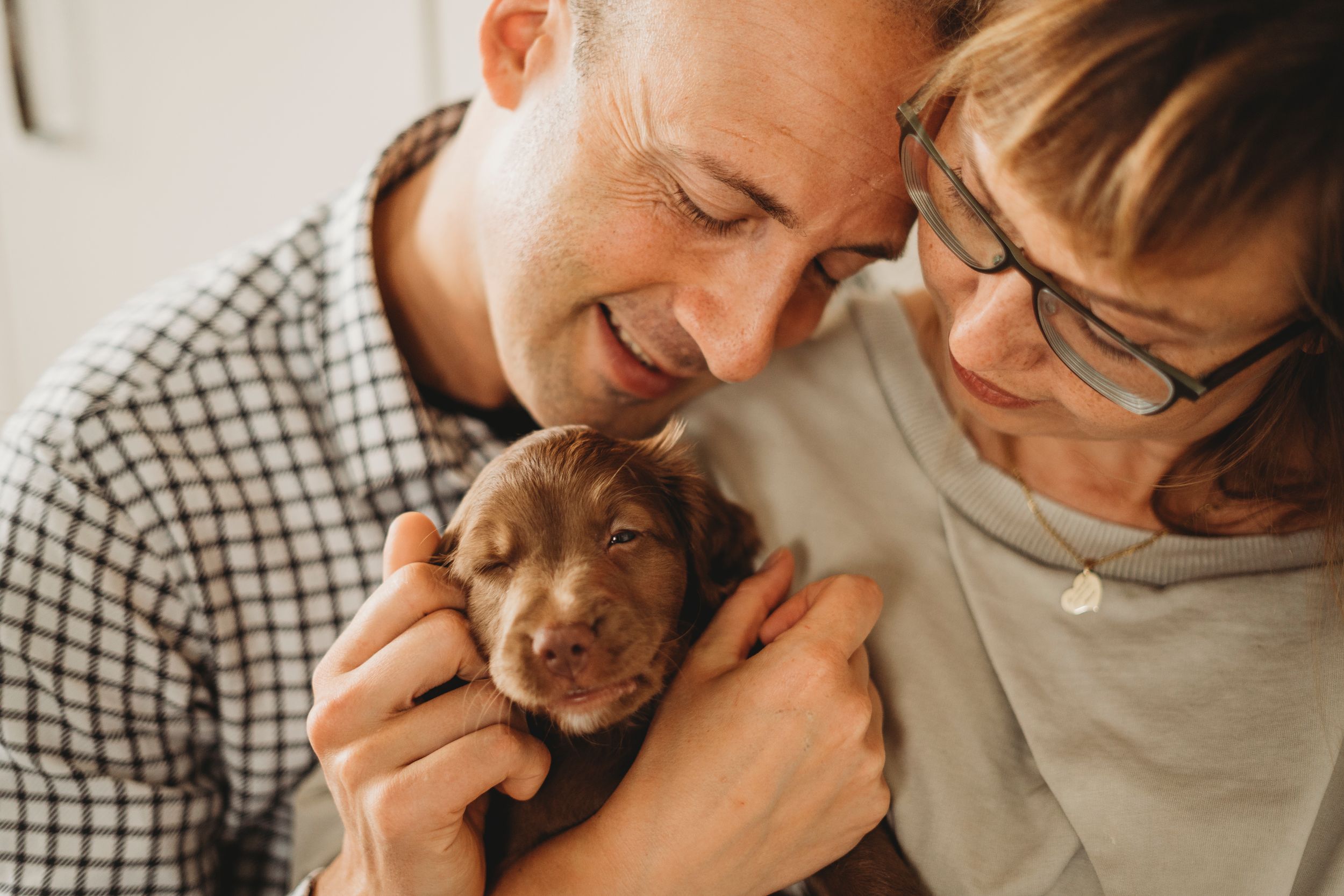 Close-up of a couple cuddling with their sleepy brown puppy indoors.
