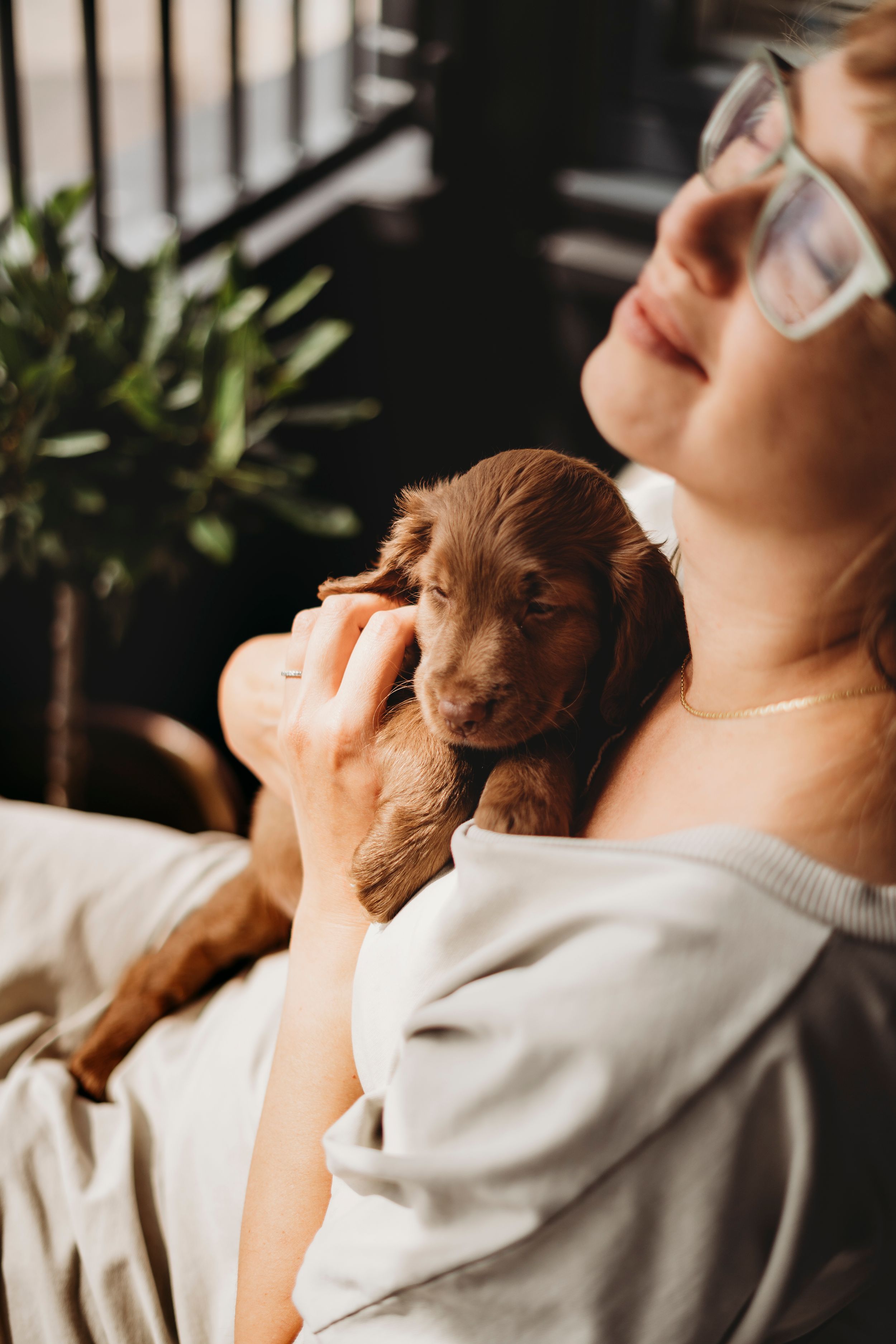 A sleepy brown puppy rests in someone's arms in warm indoor lighting.