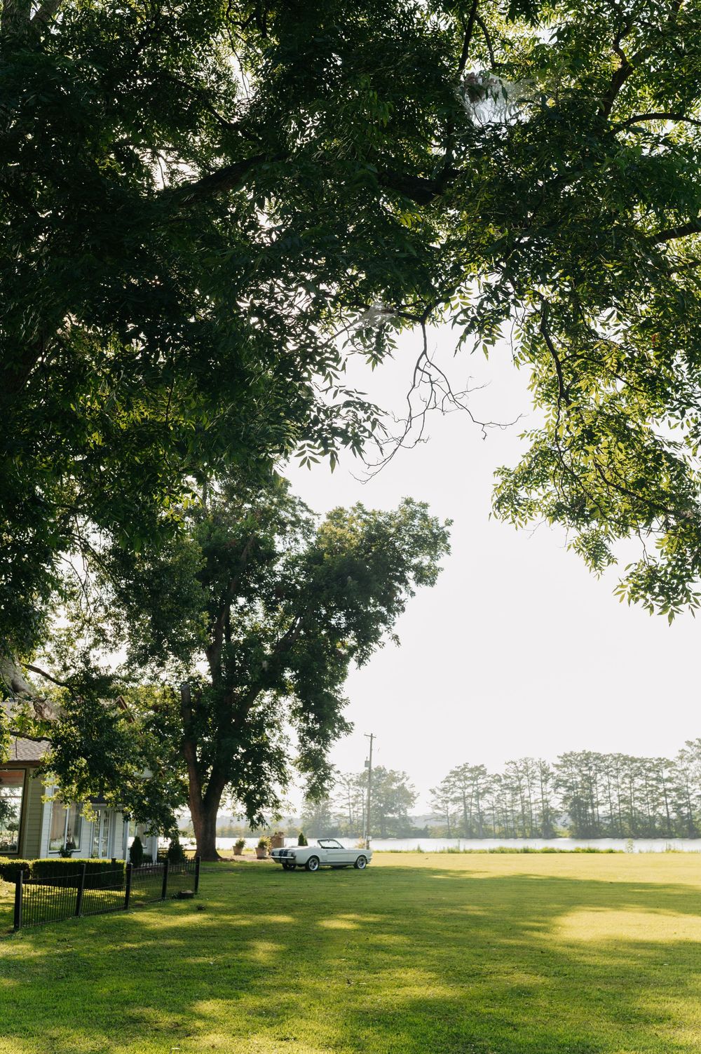Lush green park with large shade trees, manicured lawn, and a car parked near a serene lake on a bright day.