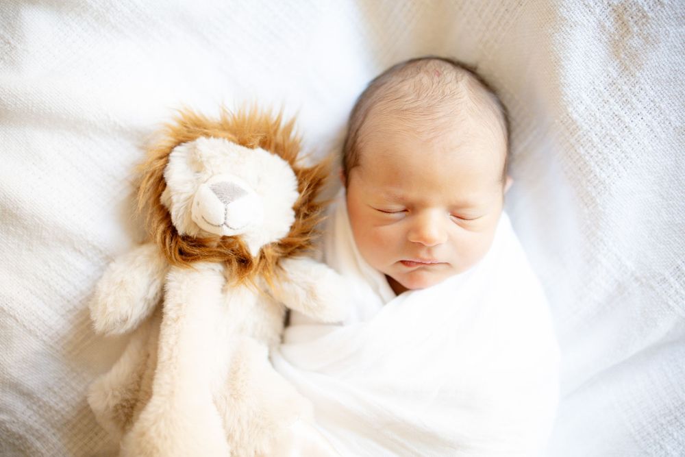 Newborn baby swaddled in white blanket sleeping peacefully next to a lion stuffed animal toy at University of Tennessee Medical Center.