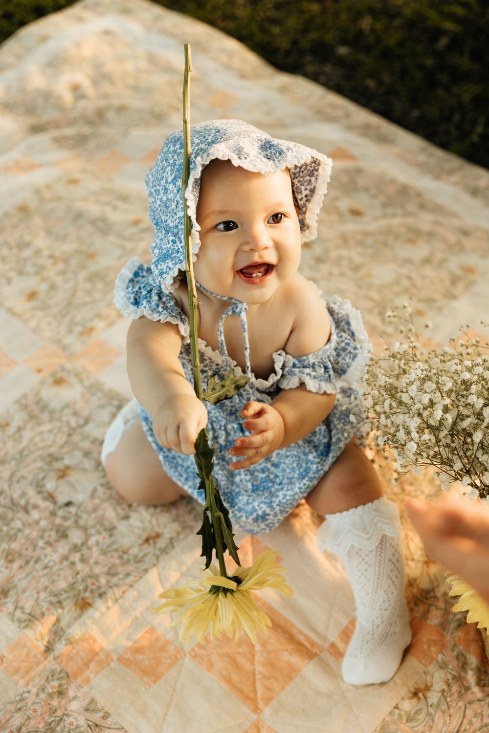 Natural, sunset family photos with golden light, a garden, and a toddler. Jacksonville Family Photographer - Lindsay McDow Photo
